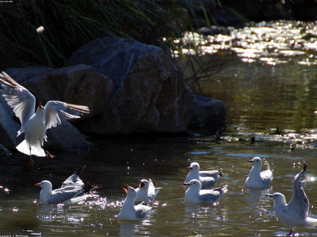 ឱកាសឈ្នះ: ការបង្កើតឱកាសថ្មីសម្រាប់ជោគជ័យ