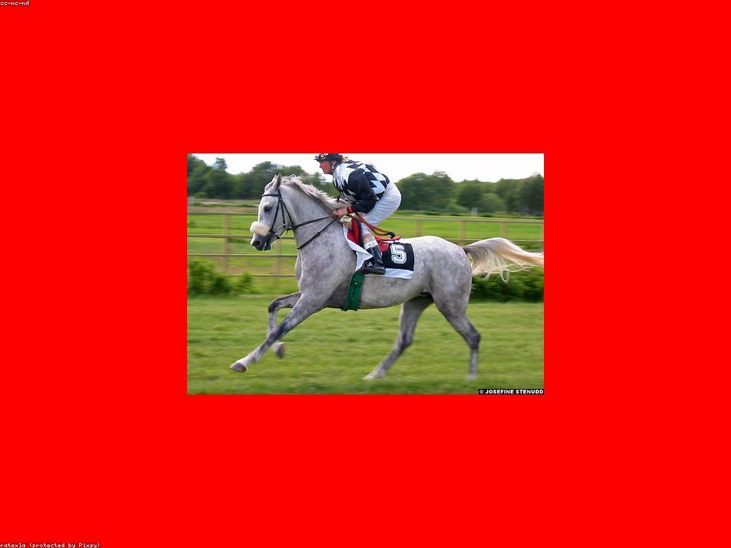 សារៈសំខាន់នៃការប្រកួតក្នុងជីវិត