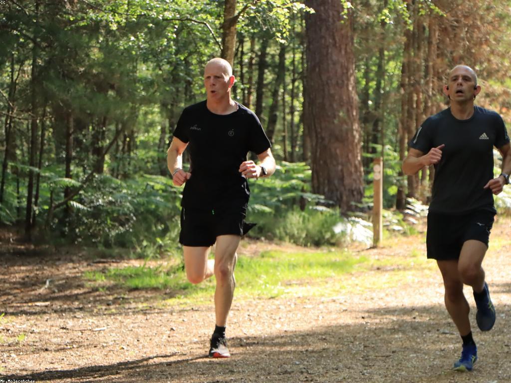 អត្ថប្រយោជន៍នៃការប្រកួតសម្រាប់សុខភាព