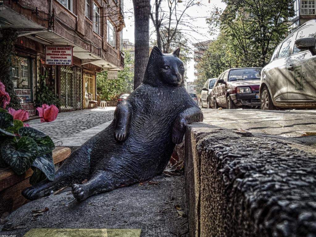 ការសម្រេចចិត្តនិងវិធីសាស្ត្រដើម្បីទទួលបានលទ្ធផលល្អ