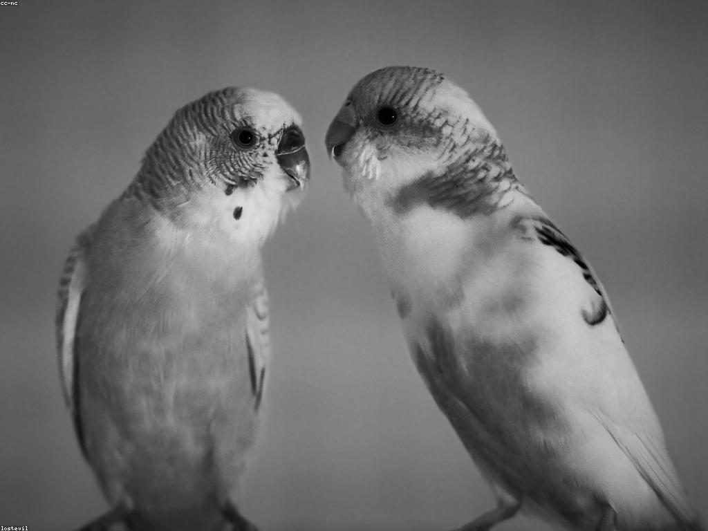 យុទ្ធសាស្ត្រសំរាប់ការទំនាក់ទំនងមានប្រសិទ្ធភាព